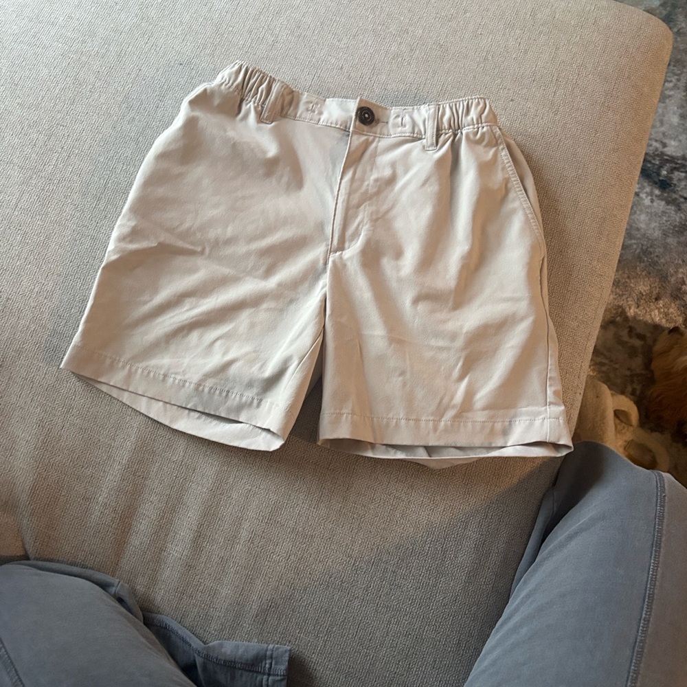 Chubbies Light Tan Flat Front Shorts